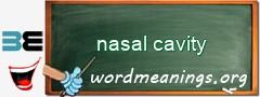 WordMeaning blackboard for nasal cavity